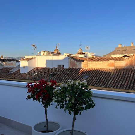 Atarazanas Suite, Atico Con Terraza Màlaga Exteriér fotografie